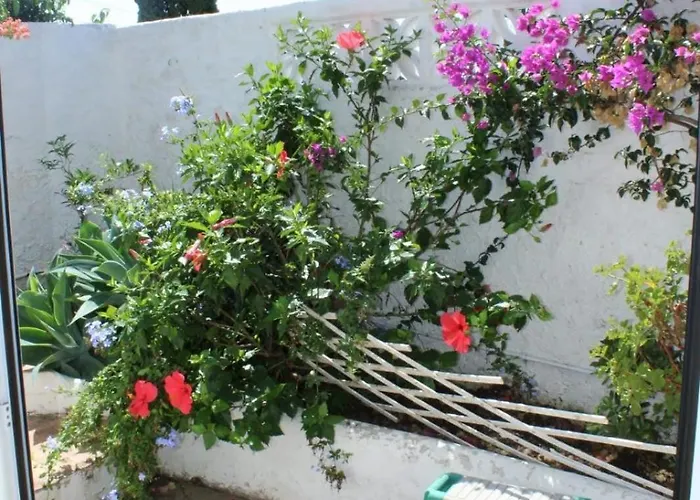 Apartament Paco Romo 5 *